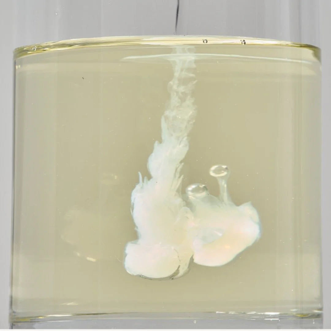 ROUND LAB - Soybean Cleansing Oil