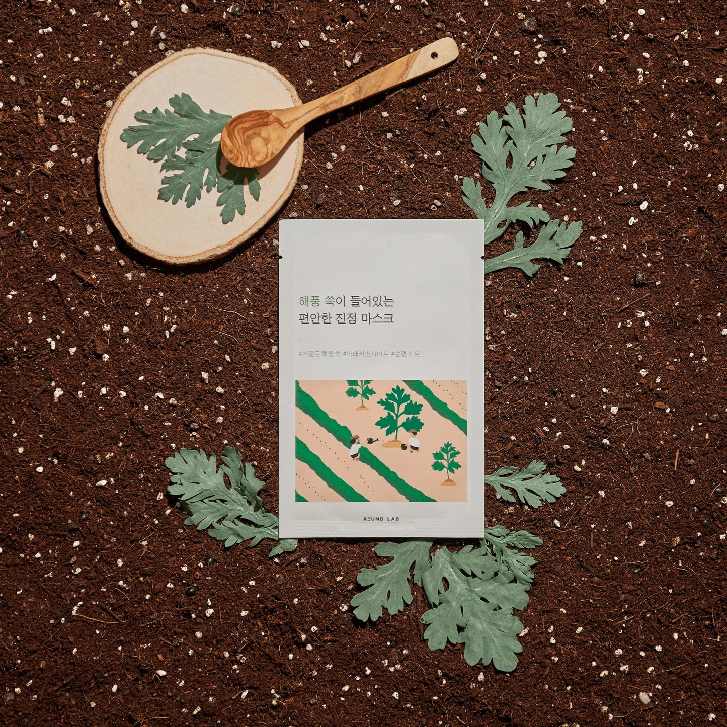 ROUND LAB - Mugwort Sheet Mask