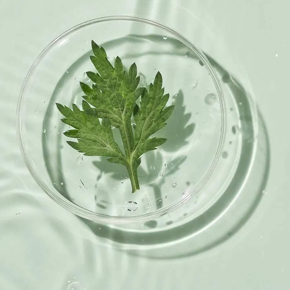 ROUND LAB - Mugwort Calming Soothing Gel