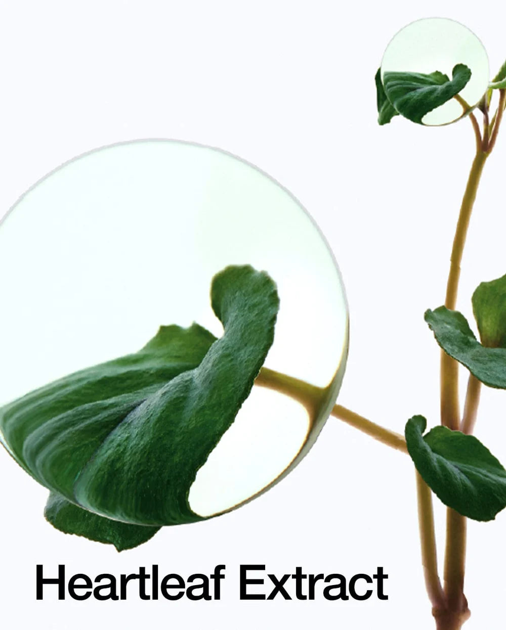 Anua - HEARTLEAF 70% INTENSE CALMING CREAM