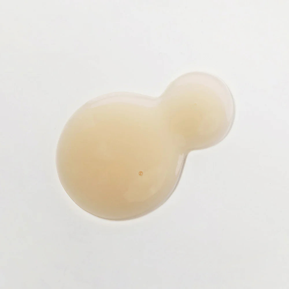 KAINE - Chaga Collagen Charging Serum